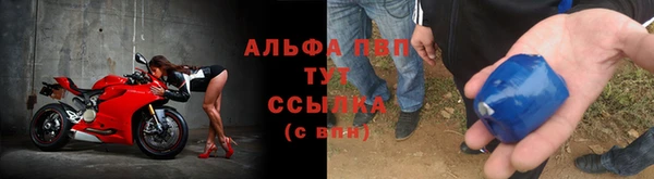 гашик Богородицк