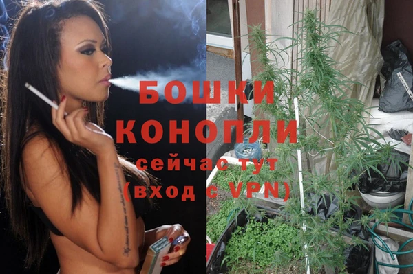 прущая мука Бородино