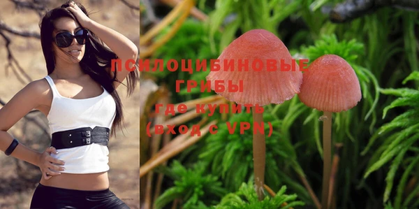 прущая мука Бородино